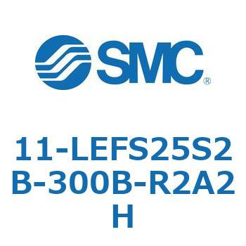 11-LEFS2 SMC
