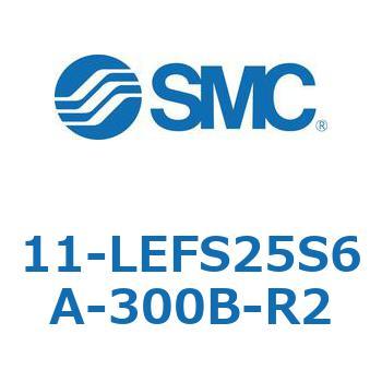 11-LEFS2 SMC