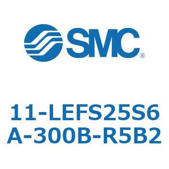 11-LEFS2 SMC