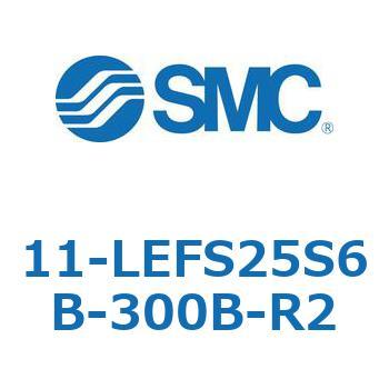 11-LEFS2 SMC