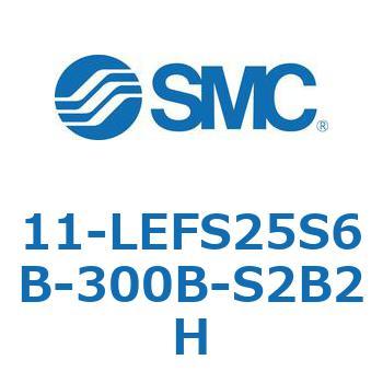 11-LEFS2 SMC