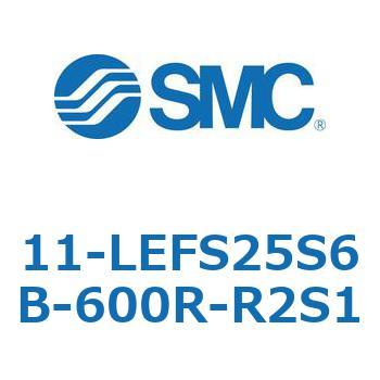 11-LEFS2 SMC