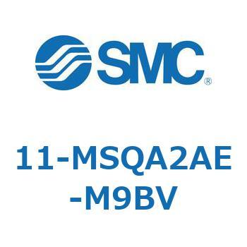11-MS SMC