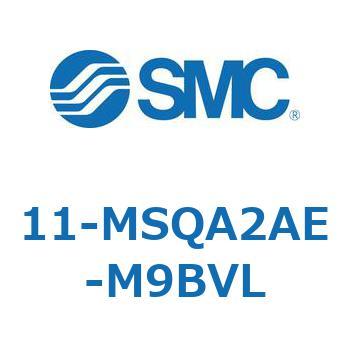 11-MS SMC
