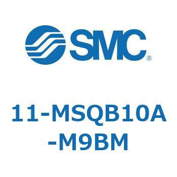 11-MS SMC