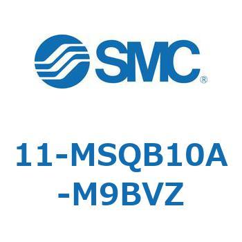 11-MS SMC