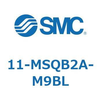 11-MS SMC