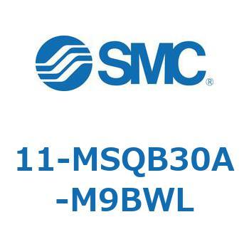 11-MS SMC
