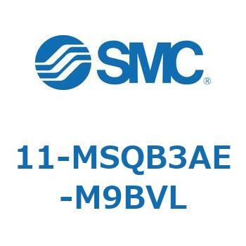11-MS SMC
