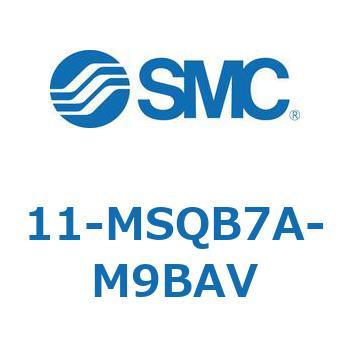11-MS SMC