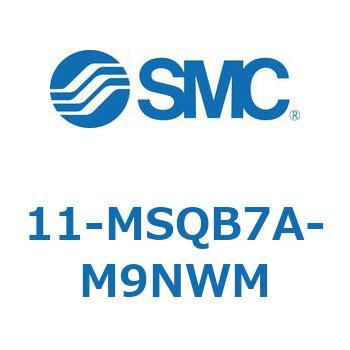 11-MS SMC