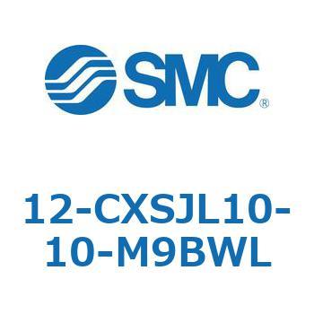 12-C SMC