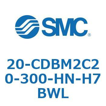 20-CDB SMC