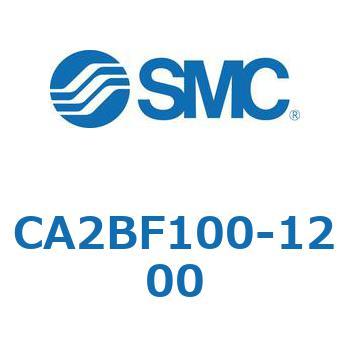 CA2BF100-1200 W`GAV_(p`Jo[)CA2BF SMC 50904271