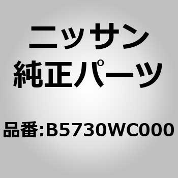 (B5730)フラッシャユニット，コンビネーション ニッサン