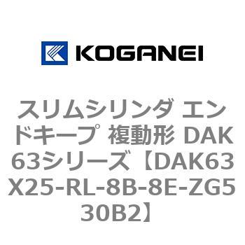 DAK63X25-RL-8B-8E-ZG530B2 XV_ GhL[v ` DAK63V[Y RKlC 53426345