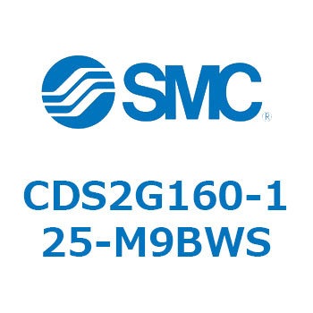 CDS2G160-125-M9BWS 標準形エアシリンダ(角形カバー) CDS2G160-1 SMC 53428295