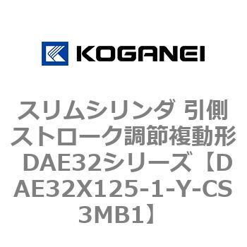 DAE32X125-1-Y-CS3MB1 �X�����V�����_ �����X�g���[�N���ߕ����` DAE32�V���[�Y �R�K�l�C 53495322