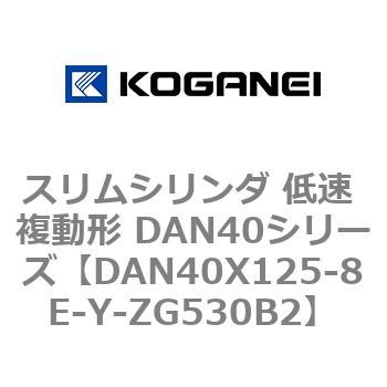 DAN40X125-8E-Y-ZG530B2 XV_ ᑬ ` DAN40V[Y RKlC 53529193