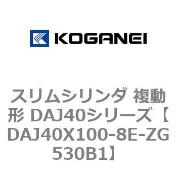 DAJ40X100-8E-ZG530B1 XV_ ` DAJ40V[Y RKlC 53551015