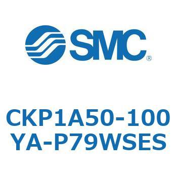 CKP1A SMC