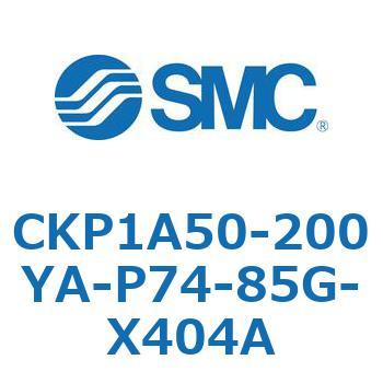 CKP1A SMC