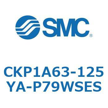 CKP1A SMC
