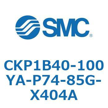 CKP1B SMC
