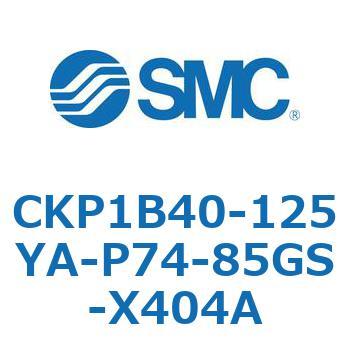 CKP1B SMC