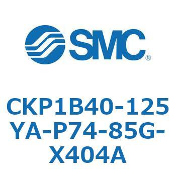 CKP1B SMC
