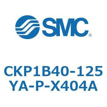 CKP1B SMC