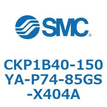 CKP1B SMC