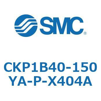 CKP1B SMC