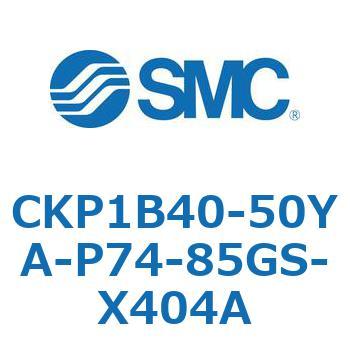 CKP1B SMC