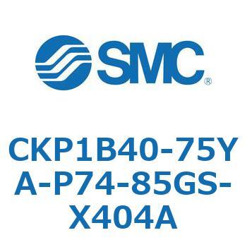 CKP1B SMC