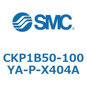 CKP1B SMC