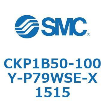 CKP1B SMC