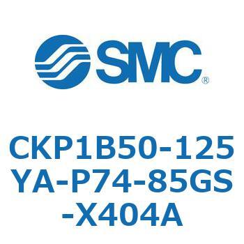 CKP1B SMC