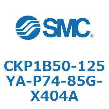CKP1B SMC
