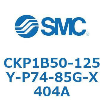 CKP1B SMC