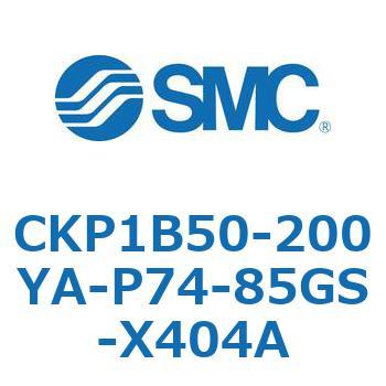 CKP1B SMC