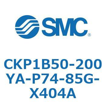 CKP1B SMC