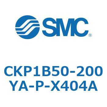 CKP1B SMC