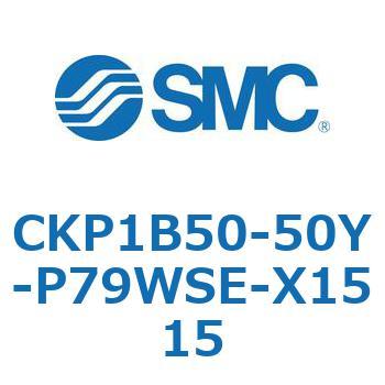 CKP1B SMC