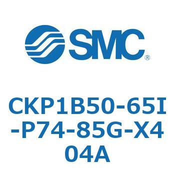 CKP1B SMC