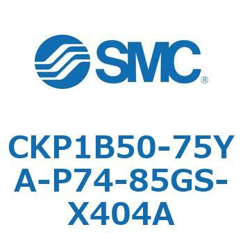 CKP1B SMC