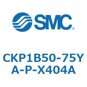 CKP1B SMC