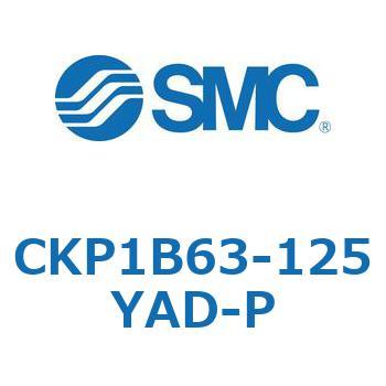 CKP1B SMC