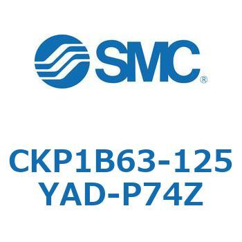 CKP1B SMC