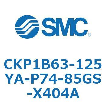 CKP1B SMC